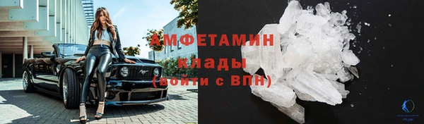 гидра Аркадак