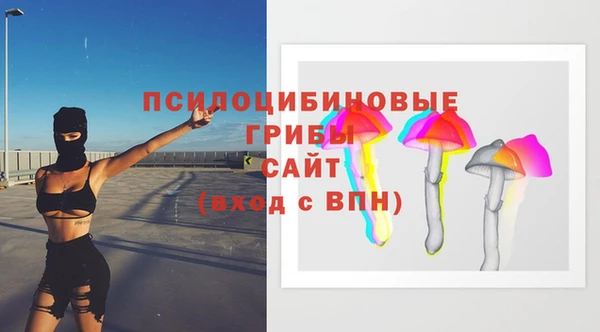 гидра Аркадак