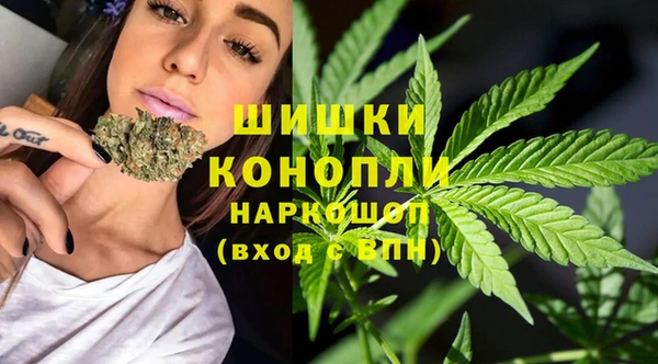 гидра Аркадак
